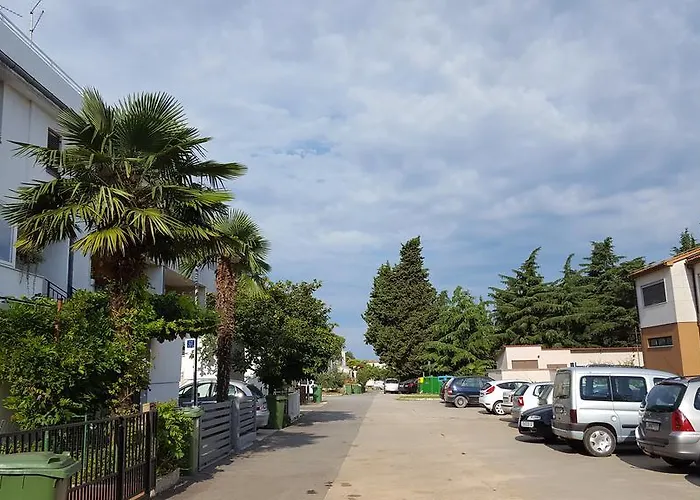 Deep Blue بوريتش